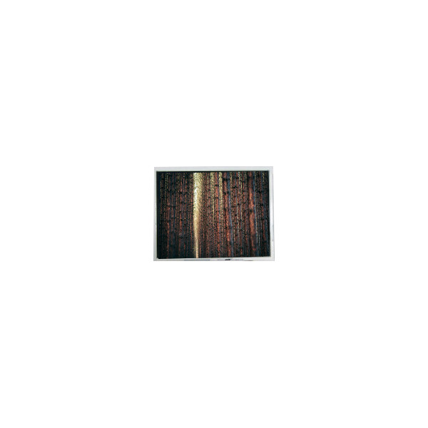 mini 4.3 inch FG04032PDSSWBG01 480*272 lcd Screen