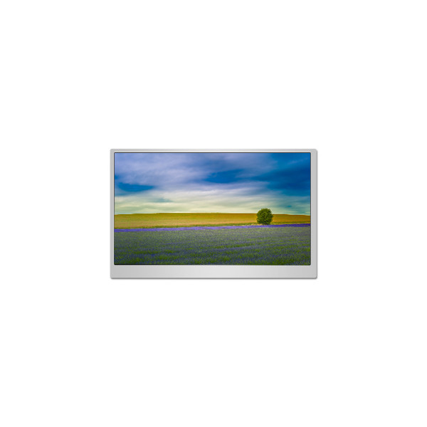 PN215CT02-1 21.5 inch LCD Panel FOR Desktop Monitor