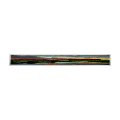 good price LG Display 28.6 Inch Lcd Panel LD290EJS-FPN1 LCD Display Modules Replacement online