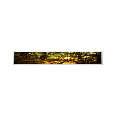 good price LSI290LN01 29 Inch a-Si TFT-LCD LCM display module online
