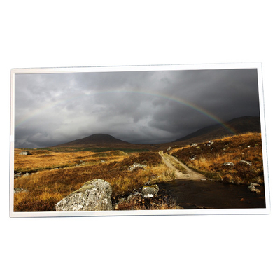 good price 21.5 inch 1920x1080 LM215DT8A Touch Screen Display online