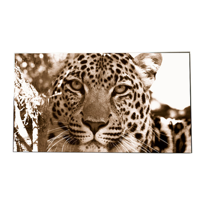 good price Original LG LCD Video Wall Panels LD550DUS-SEF1 1920*1080 Resolution online