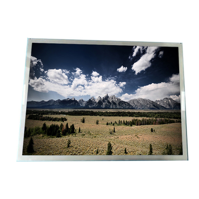 good price 1024X768 15.0 Inch AUO Industrial Lcd Screen 20 Pin TFT LCD Module online