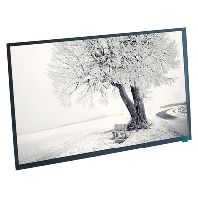 good price 10.1 Inch LVDS 45 Pins BOE LCD Screen Display Panel For Medical Industry online