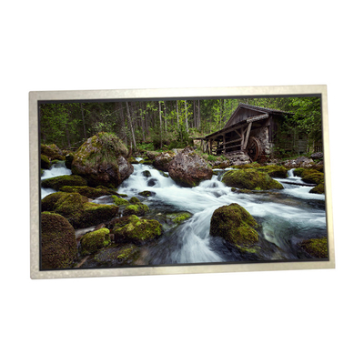 good price 10.1 inch HSD100IFW1-C00 60PIN LCD LED Screen Display Panel online