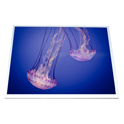 good price HSD100IXN1-A10 LCD screen 10.0 inch LCD panel online