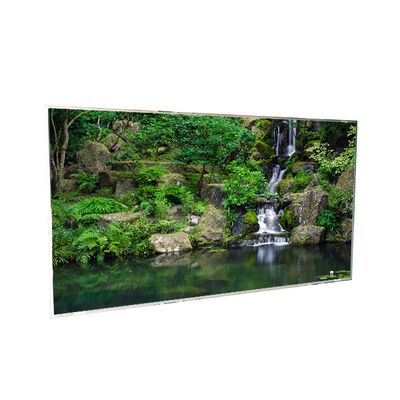 good price 29.5 inch T296XW01 V2 LCD Display online