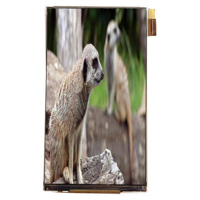 good price LQ055K3SX02 5.5 inch LCD Module Interface 720*1280 LCD Screen For Car Display online
