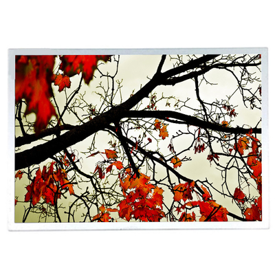 good price Size 15.0 inch G150XTN06.B LCD Screen with Industrial online