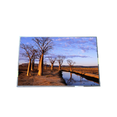 good price RGB 1440*900 B170PW03 V9 99PPI TFT LCD Panel online