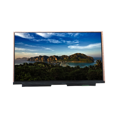 good price VVX17P051J00 17.3 inch 300 cd/m2 eDP LCD Display Screen Panel online