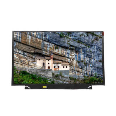 good price LT133EE09500 13.3 inch LVDS 262K 45%NTSC LCD Screen panel online