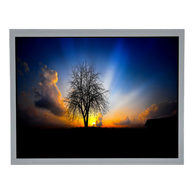 good price TCG104XGLPAPNN-AN31 10.4 inch 1024*768 600 cd/m2 LCD Screen Display online