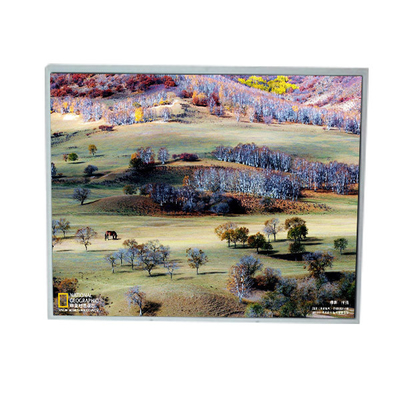 good price LM200WD1-TLA9 20.0 inch 1600*900 TFT LCD Display online