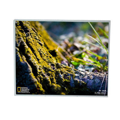 good price LM200WD3-TLF2 20.0 inch 1600*900 LCD Screen Module for LG online