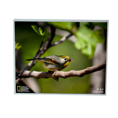 good price LM201U1-A3M1 20.1 inch 1600*1200 LCD Screen display online