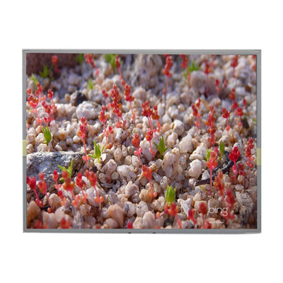 good price LM201W01-A6K2 20.1 inch LCD Panel 1680*1050 LCD Display online