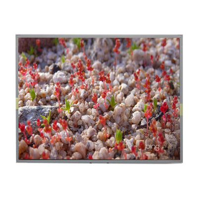 good price LM201WE1-SL01 Original 20.1 inch 1680*1050 LCD Display Screen online