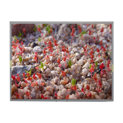 good price LM201WE2-SLBC TFT LCD Module 20.1 Inch LCD Panel for LG online