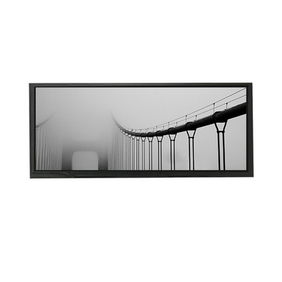 good price AV103Z7M-N1C-D8P0 10.3 inch LCD Screen Display LCD MODULE online