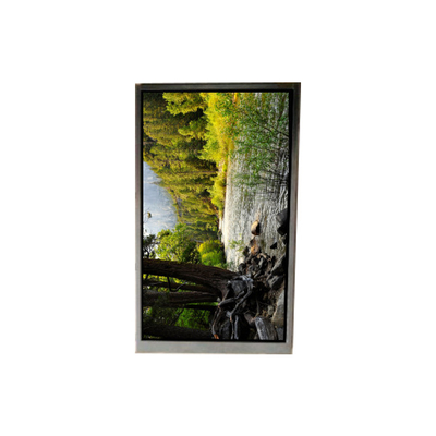 good price BA050WQ2-200 5.0 inch 480*272 LCD SCREEN For Portable Navigation online