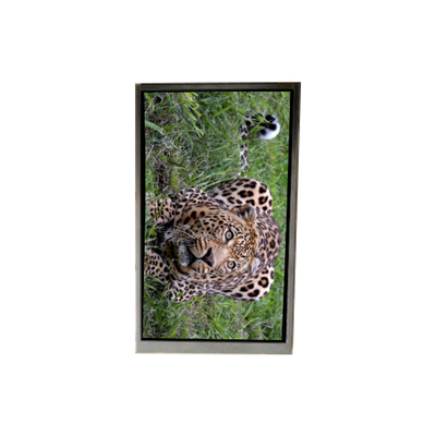 good price BA050WV4-600 5.0 inch 480*800 LCD SCREEN For Mobile Phone online