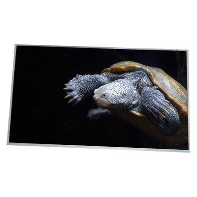 good price LM300W01-STA2 New 30.0 inch 2560*1600 LCD Screen Display online