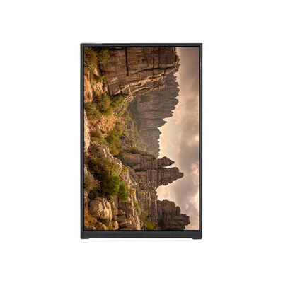 good price BP096WX2-100 9.6 inch LCD screen LCD Display MODULE PANEL online