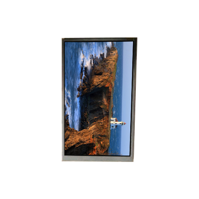 good price BS052FHG-N40-6900 5.2 inch LCD Display  LCD screen PANEL online