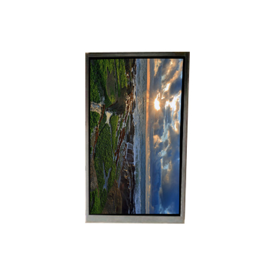 good price BS053HDG-N50-6200 5.2 inch LCD Display LCD screen PANEL For Mobile Phone online