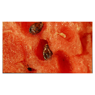good price LM315WR6-SSA1 32.0 Inch Industrial 4K LCD Screen for Video Application online