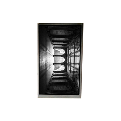 good price BS055FHE-L30-6Q01 5.5 inch LCD Display LCD screen PANEL For Mobile Phone online