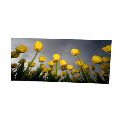 good price LM340WW2-SSD1 34.0 inch 2560*1080 LCD Screen Display online