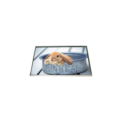 good price LP173WD1-TLH5 17.3 inch 60Hz LCD Panel Screen display for Laptop online