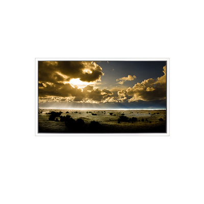 good price DV430FHM-NN5 43 inch 1920*1080 LCD Screen FOR Digital Signage online