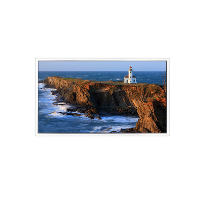 good price 49 inch 1920*1080 DV490FHB-NV1 LCD Screen for Video Wall online