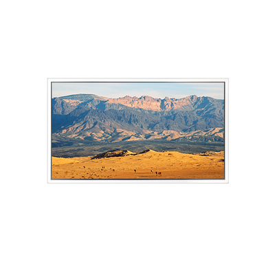good price 49 inch 3840*2160 DV490QUB-N8A LCD Screen FOR Digital Signage online