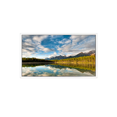 good price 55 inch DV550FHB-N30 1920*1080 LCD Screen FOR Transparent Display online