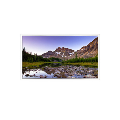 good price New DV550FHM-NV3 1920*1080 55 inch 16.7M 72% NTSC LCD Screen online
