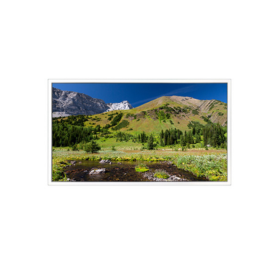 good price DV550QUB-N20 3840*2160 55 inch LCD Screen FOR Digital Signage online