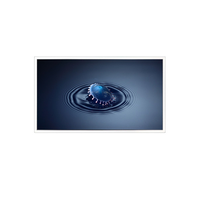 good price 3840*2160 DV650QUB-N00 65inch 60Hz LCD Screen Display online
