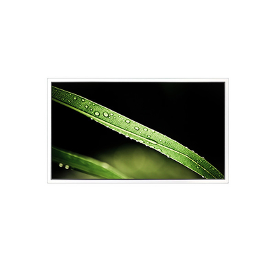 good price 3840*2160 65inch DV650QUM-NV0 500 cd/m2 LCD Screen for Video Wall online
