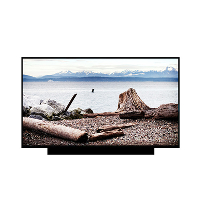 good price 18.4 inch 3840*2160 EV184QUM-N80 1000 cd/m2 LCD Screen for Medical Imaging online