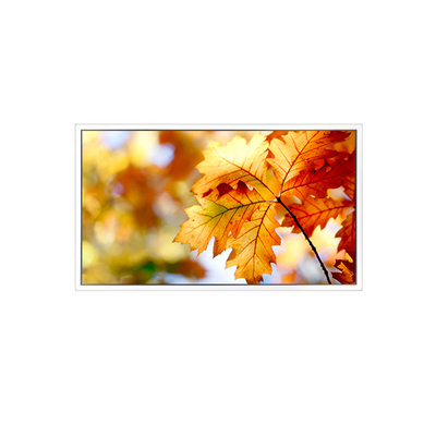 good price EV238FHM-N12 23.8 inch 1920*1080 LCD Screen Monitor online
