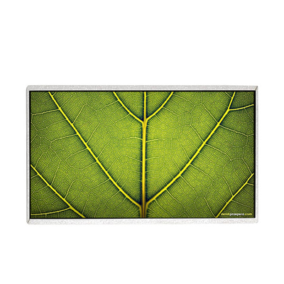 good price HB140WX1-400 14.0 inch 1366*768 200 cd/m2 LCD Screen Panel Display online