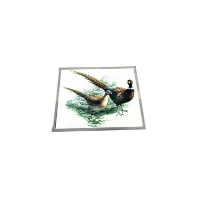 good price 15.0 inch LQ150X1DG11B TFT-LCD Screen Display Panel online
