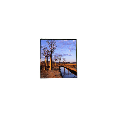 good price LH500WX1-SH01 5.0 inch 800:1 LCD Screen Display online