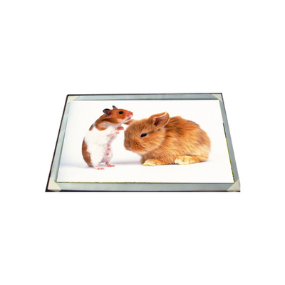 good price LM170E03-TLG6 17.0 inch 16.7M LCD Panel Module online
