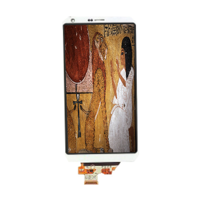 good price LM185WH1-TLH2 18.5 inch 600:1 LVDS LCD Screen Panel online