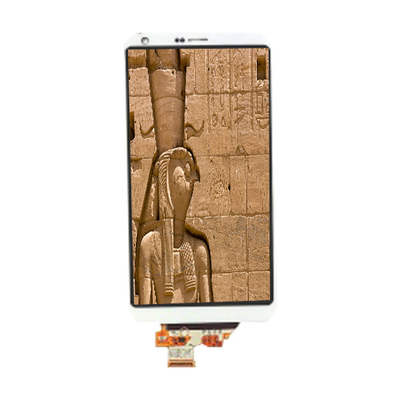 good price LM185WH1-TLH4 18.5 inch 200 cd/m² LVDS LCD Screen Panel online